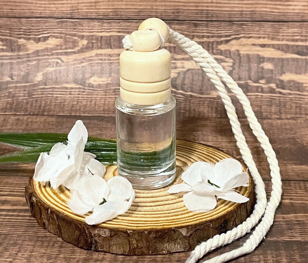 Hanging Oil Diffuser Air Freshner