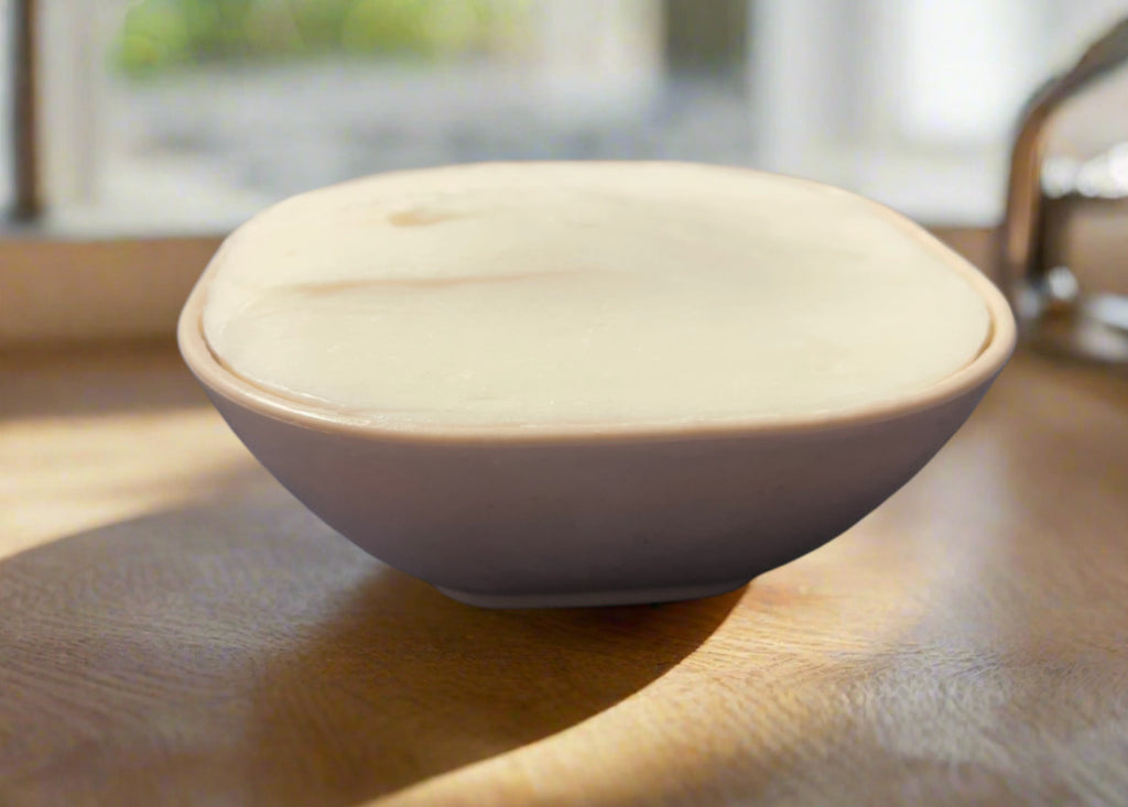 All Natural Solid Dish Soap with Sisal Sponge