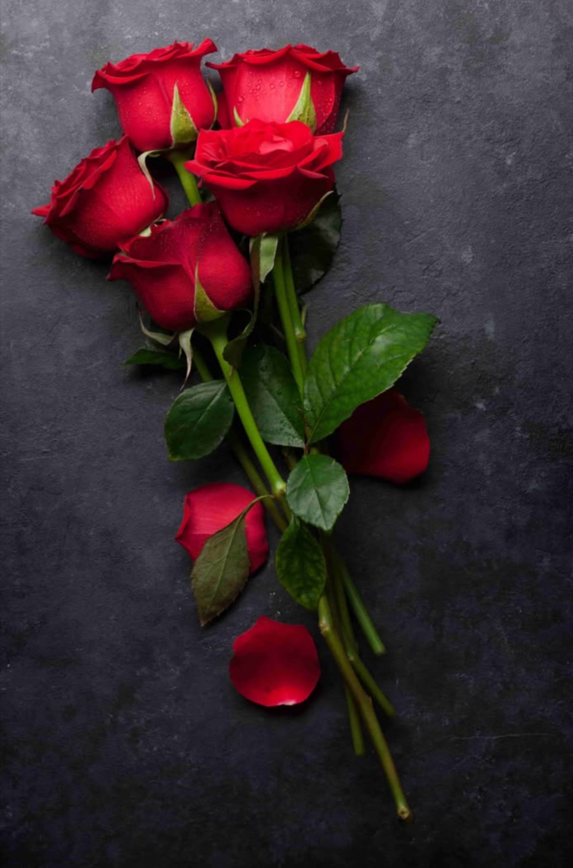 Fresh Cut Roses Fragrance Oil 1oz